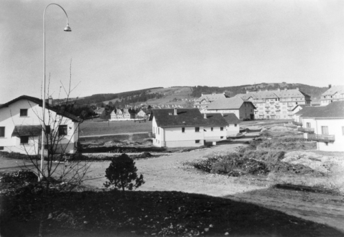 Image11