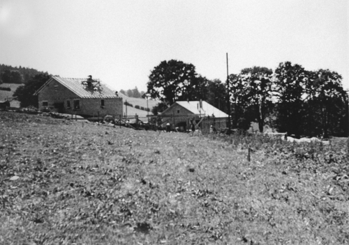 Image23